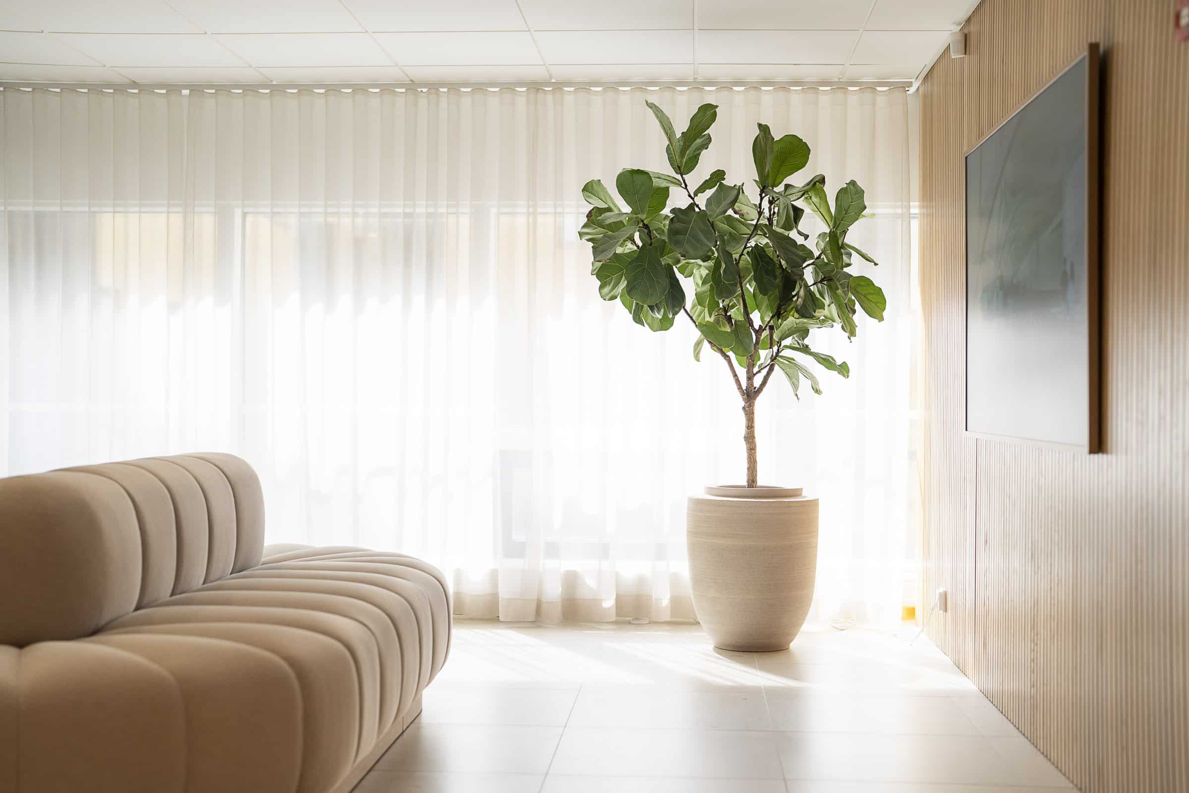 Esteettinen hammashoito Turku. Dentå kaunis odotustila